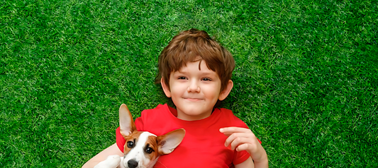 Mascotas y autismo: Una Gran amistad